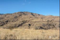 6 (LOT 6) Cowboy Road, Methow WA 98834