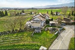 Magnificent winegrower's house with rental potential