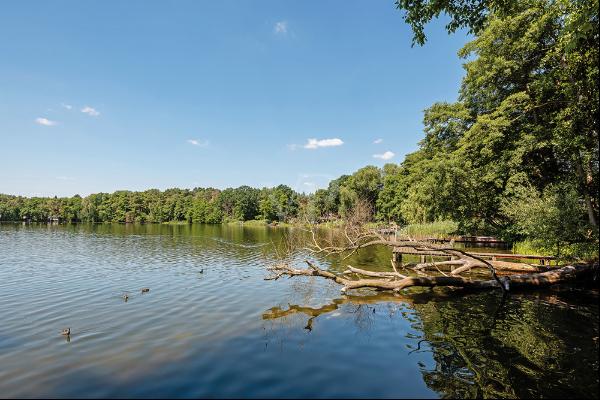 Historic Lake Property