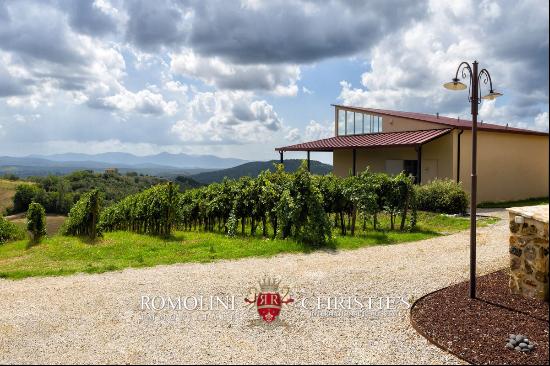 WINE AND OIL ESTATE FR SALE