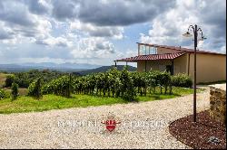 WINE AND OIL ESTATE FR SALE