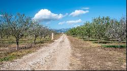 Finca with several outbuildings for sale in Son Ferriol-Palma, M, Palma de Mallorca 07007