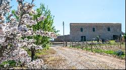 Finca with several outbuildings for sale in Son Ferriol-Palma, M, Palma de Mallorca 07007