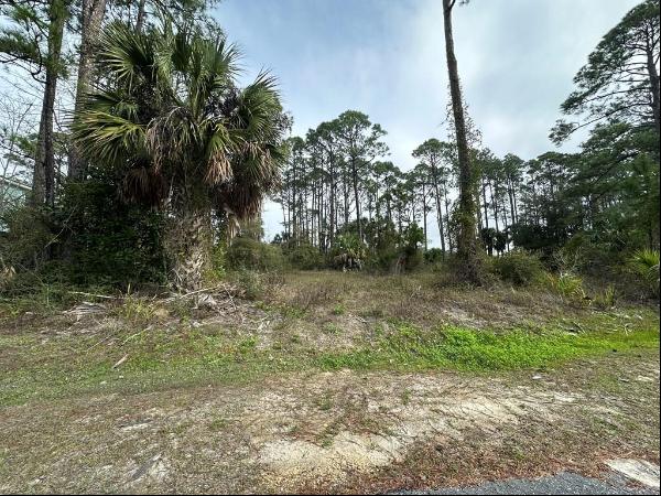 Lot 16 Cottage Ln, Cape San Blas FL 32456