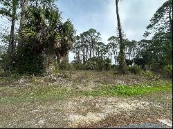 Lot 16 Cottage Ln, Cape San Blas FL 32456