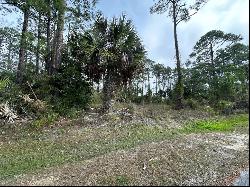 Lot 16 Cottage Ln, Cape San Blas FL 32456