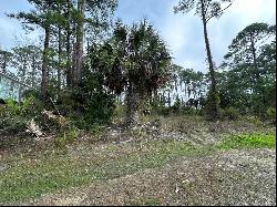 Lot 16 Cottage Ln, Cape San Blas FL 32456