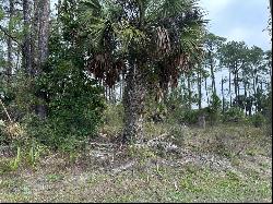 Lot 16 Cottage Ln, Cape San Blas FL 32456