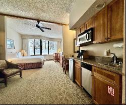 6 Emmons Road #111, Crested Butte CO 81225