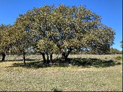 657.25+/- Acres Las Catarinas Ranch, Kerr County , Junction , TX 78649