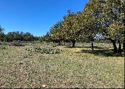 657.25+/- Acres Las Catarinas Ranch, Kerr County , Junction , TX 78649