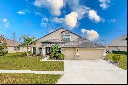 5337 Sandy Shell Drive, Apollo Beach FL 33572