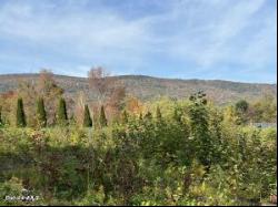 Greylock Estates Lot#14 Rd, Lanesborough MA 01237