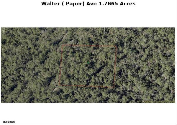 Walter Paper Avenue, Lake Helen FL 32744