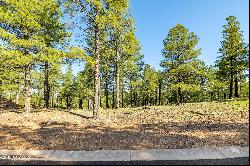 3631 S Woodland Hills- Lot 368 Drive, Flagstaff AZ 86005