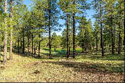 3631 S Woodland Hills- Lot 368 Drive, Flagstaff AZ 86005