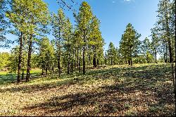 3631 S Woodland Hills- Lot 368 Drive, Flagstaff AZ 86005