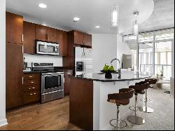 Denver Living At Its Finest - Stunning Mile High Urban Contemporary Condo