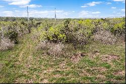 Lot 3 CR 2801 E, Mico, TX 78046, Mico, TX 78046