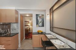 150 EAST 69TH STREET 17F in New York, New York