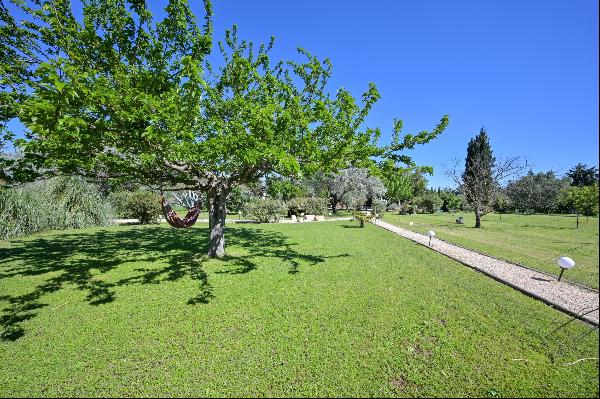 Property with seasonal rentals near Arles and the Alpilles