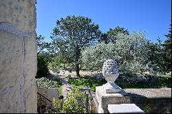 Property with seasonal rentals near Arles and the Alpilles