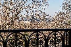 Paris 5th District - A sunny 3-bed apartment