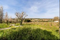 Vineyard Estate with Income-Generating Accommodation in Historic Colares