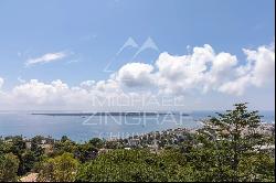 Cannes-Californie- amazing apartment on last floor with sea view