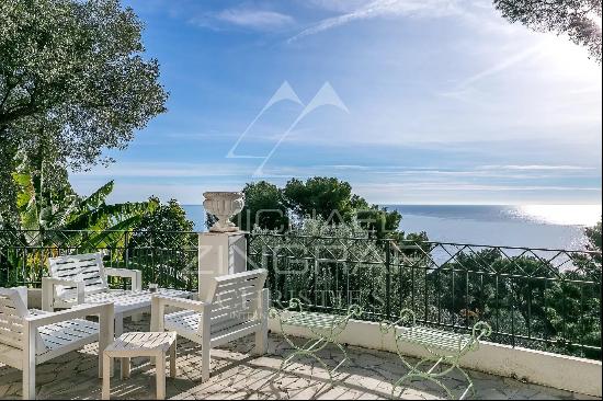 Cap d'Ail - Apartment with garden and splendid sea view