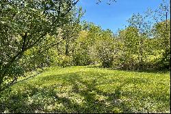 Beautiful Mountain View Lot in Gated Community