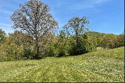 Beautiful Mountain View Lot in Gated Community