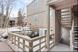 825 East Hopkins Avenue, Aspen, CO 81611