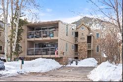 825 East Hopkins Avenue, Aspen, CO 81611