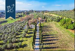 Wonderful Tuscan farmstead producing Chianti wine and extra-virgin olive oil for sale in S