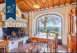 Wonderful Tuscan farmstead producing Chianti wine and extra-virgin olive oil for sale in S