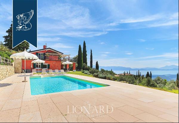 Four luxury villas for sale in a 2-hectare park with an olive grove and panoramic pool in 