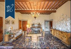 Farmhouse with vast, productive olive grove for sale in the province of Pistoia
