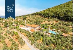 Elegant agritourism resort with an olive grove for sale in Monsummano Terme