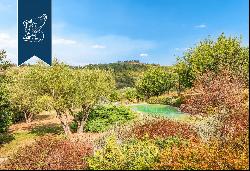 Exclusive property with a private park and an olive grove for sale in the province of Flor