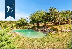 Exclusive property with a private park and an olive grove for sale in the province of Flor