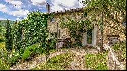 Villa Fontanelle with bio-pool and view of Poppi castle - Tuscany