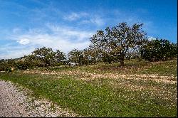 Lot 66 Majestic Hills Drive, Blanco, TX 78606