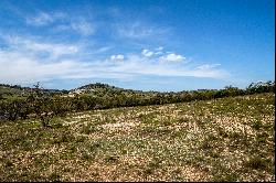 Lot 66 Majestic Hills Drive, Blanco, TX 78606