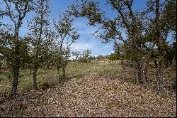 Lot 66 Majestic Hills Drive, Blanco, TX 78606