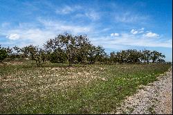 Lot 66 Majestic Hills Drive, Blanco, TX 78606