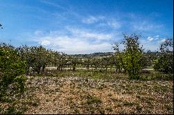 Lot 66 Majestic Hills Drive, Blanco, TX 78606