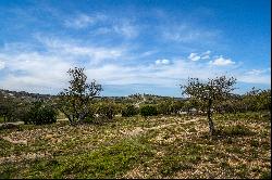 Lot 66 Majestic Hills Drive, Blanco, TX 78606