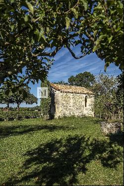 For sale beautiful turnkey lifestyle passion vineyard estate on the banks of the Dordogne