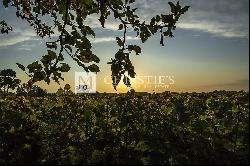 For sale beautiful turnkey lifestyle passion vineyard estate on the banks of the Dordogne